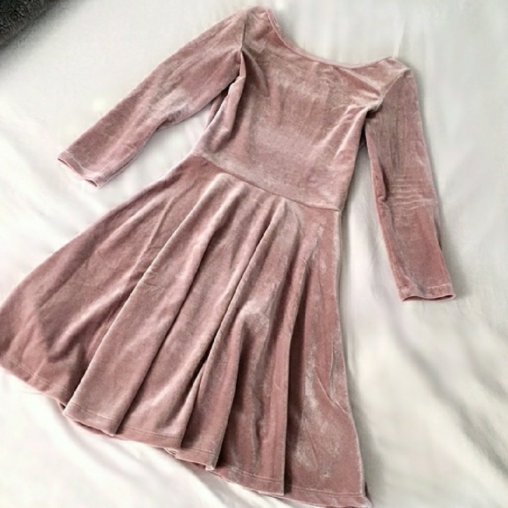American Apparel blush velvet skater dress